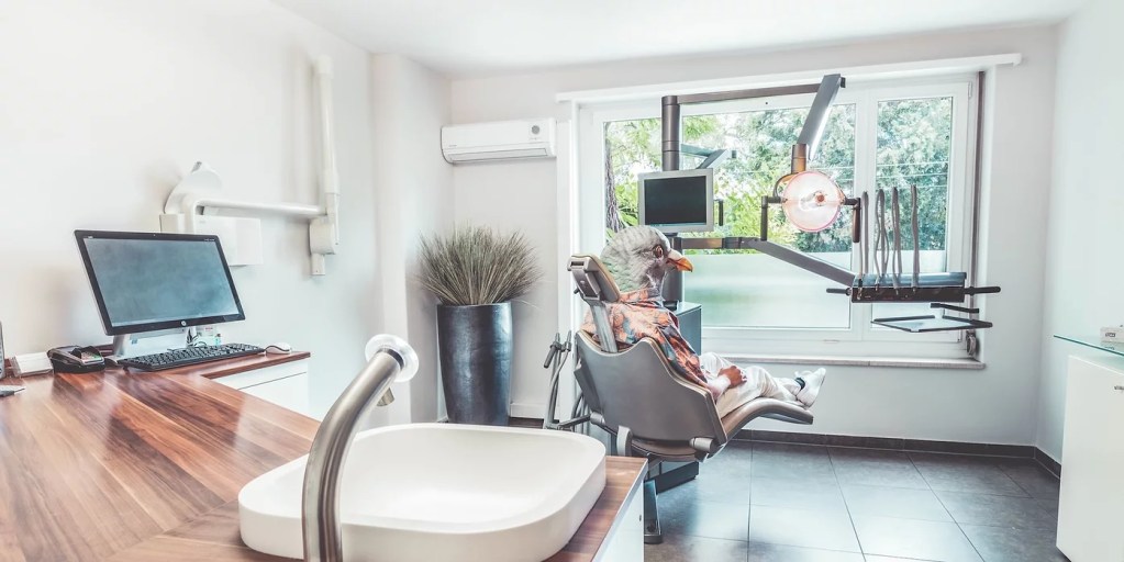 Holistic Dentist Zurich Switzerland